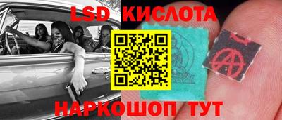 дживик Моздок
