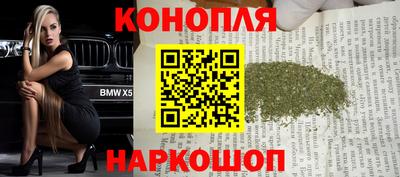 дживик Моздок