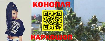 дживик Моздок