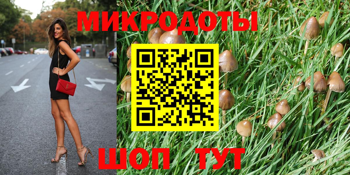 Псилоцибиновые грибы прущие грибы Ханты-Мансийск