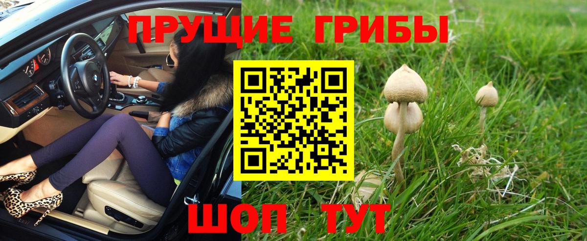 Ханты-Мансийск  Псилоцибиновые грибы Magic Shrooms  цена   Вход с VPN 